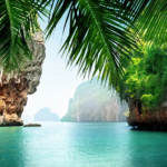 gallery4