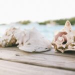 olivia-hutcherson-DeKC0Oce6mo-unsplash